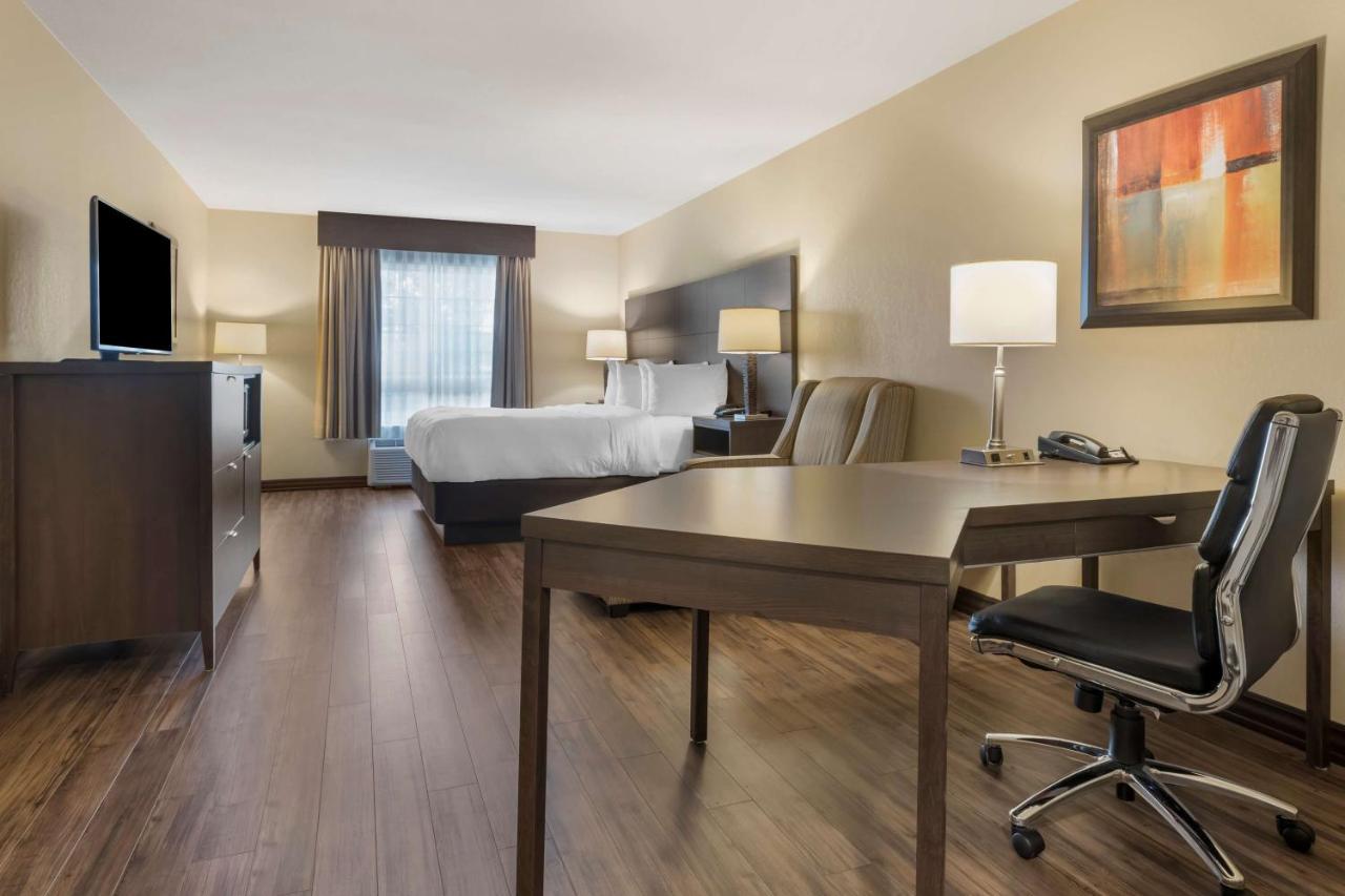 Best Western Plus Saint John Hotel & Suites Exteriör bild